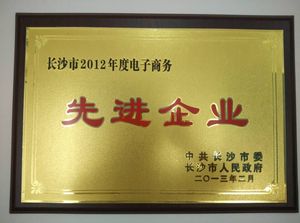 电子商务先进企业